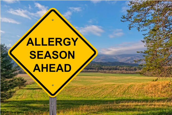 Road sign that says "Allergy Season Ahead"